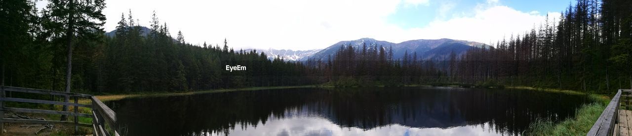 PANORAMIC VIEW OF LAKE BY TREES IN FOREST