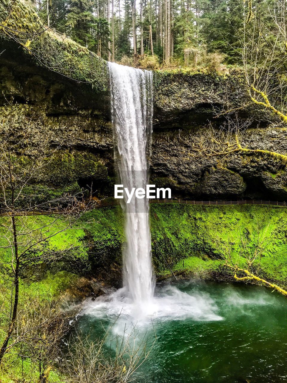 WATERFALL IN FOREST