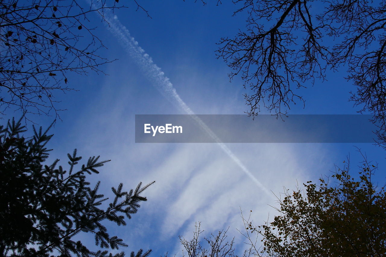 LOW ANGLE VIEW OF VAPOR TRAIL AGAINST BLUE SKY