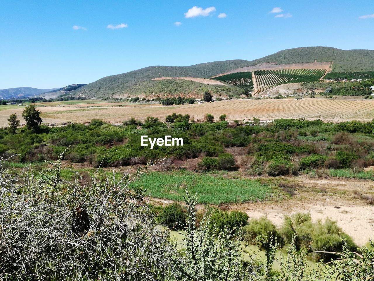 SCENIC VIEW OF AGRICULTURAL FIELD BY MOUNTAINS AGAINST SKY