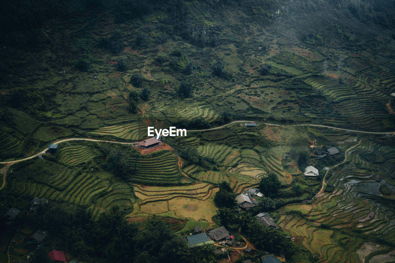 Scenic view of agricultural field