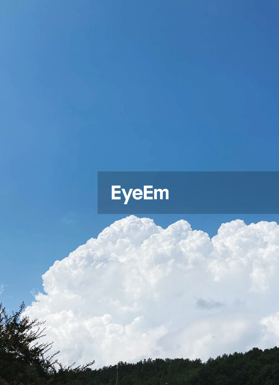 LOW ANGLE VIEW OF CLOUDS IN BLUE SKY