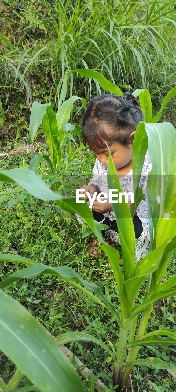 GIRL HOLDING PLANT ON FIELD