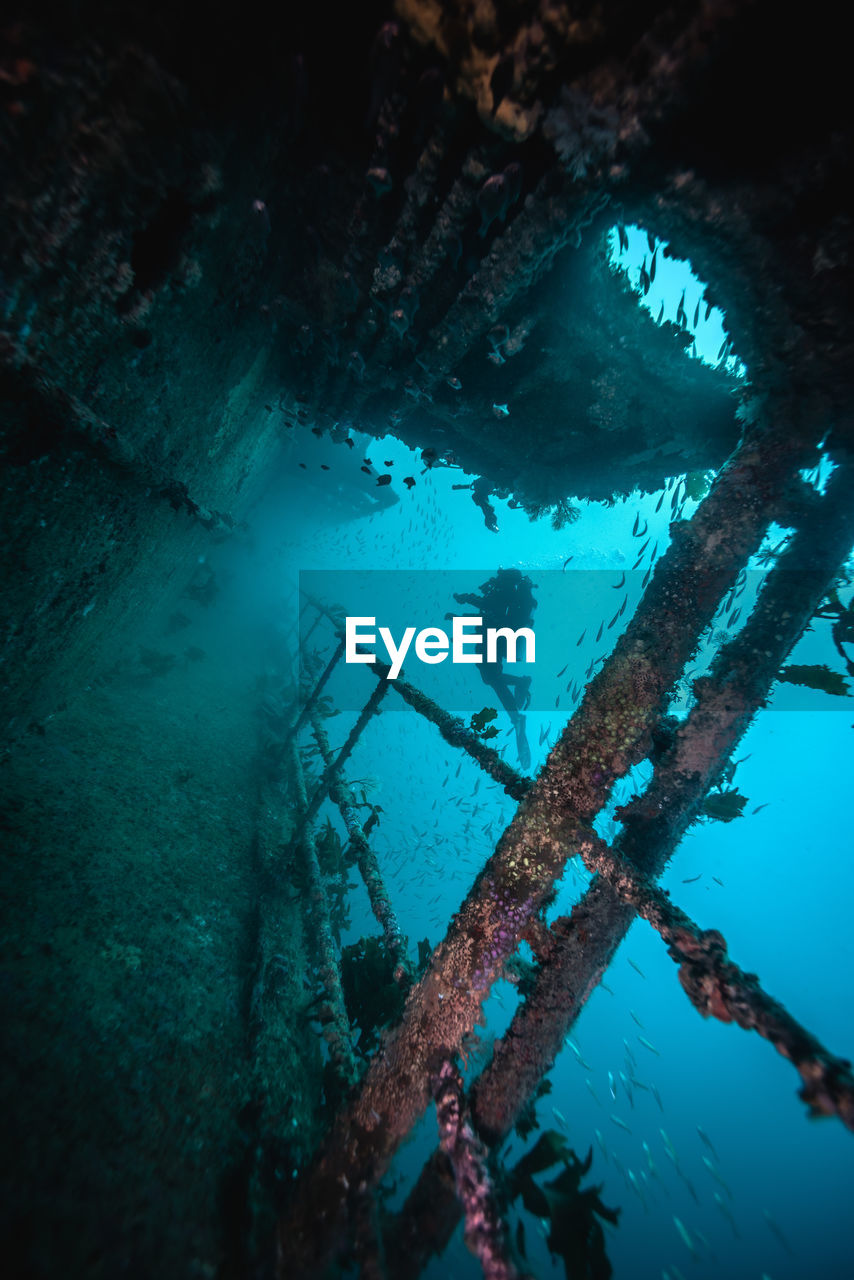 Scuba diver undersea