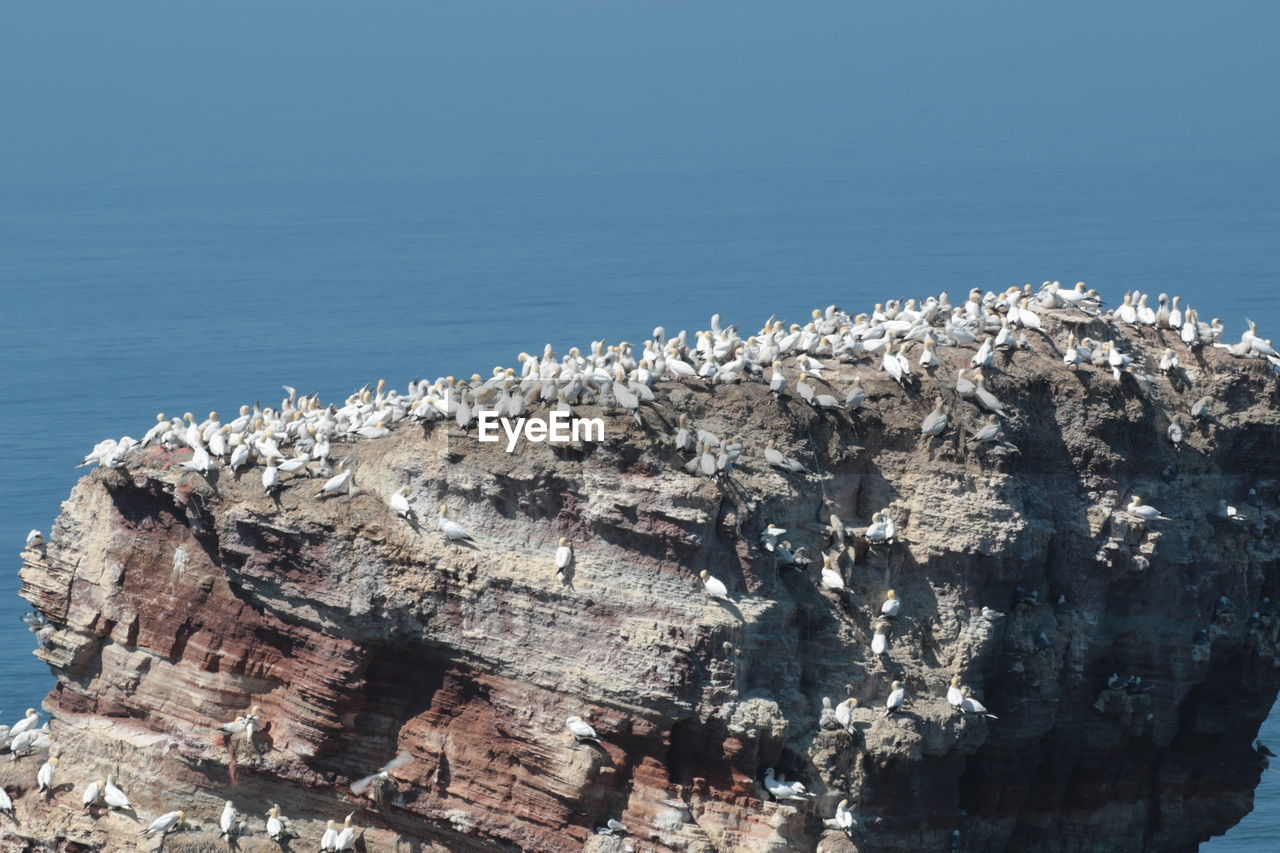 High angle view of rock formations in sea