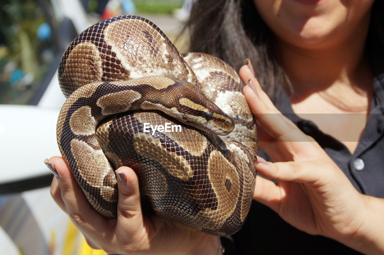 A python snake is curled up on the hand of a young woman. 