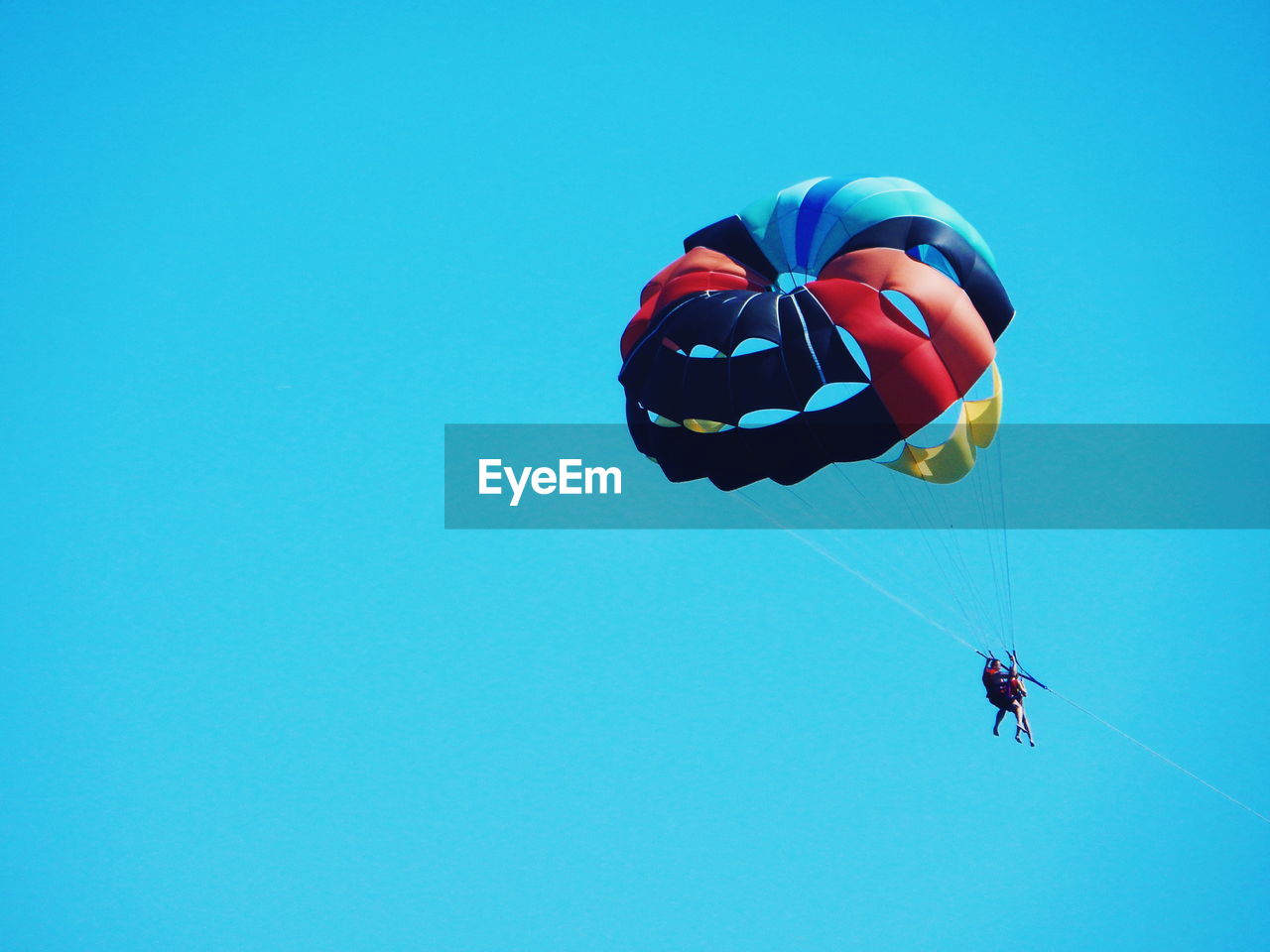 Low angle view of parachuting against clear blue sky