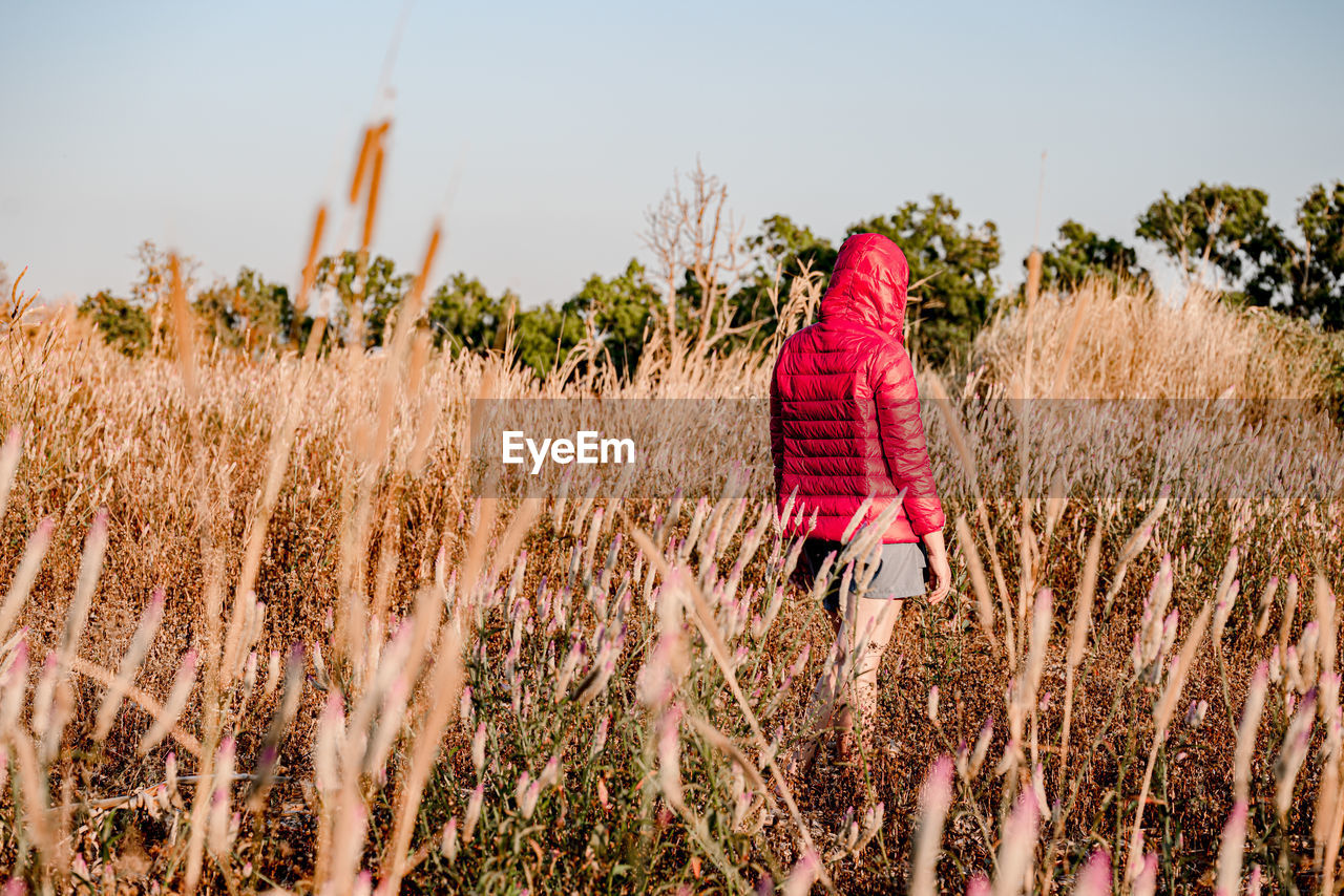 Rear view of woman walking on land