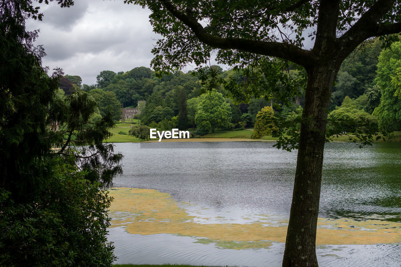 Scenic view of lake by trees against sky