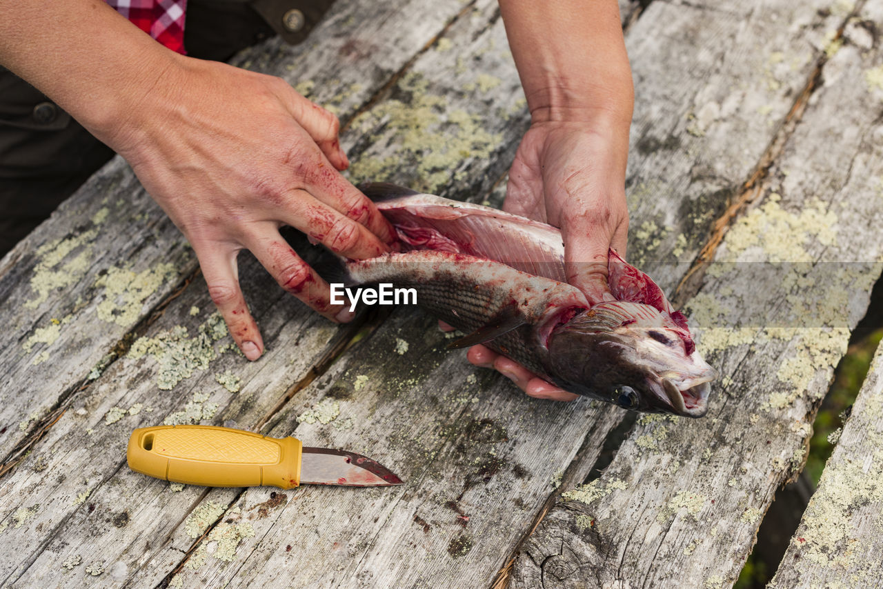 Woman preparing fish after fishing