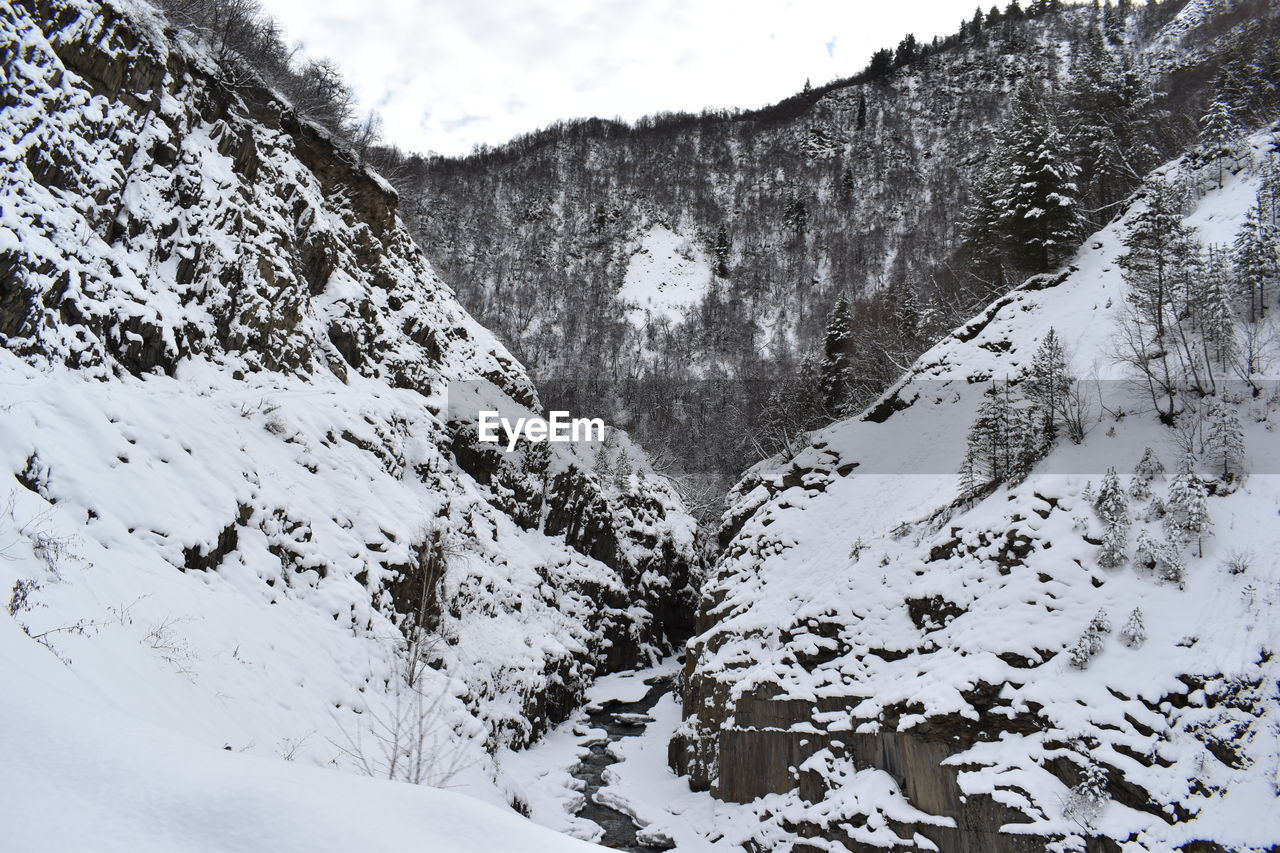 SNOW COVERED TREES ON MOUNTAIN