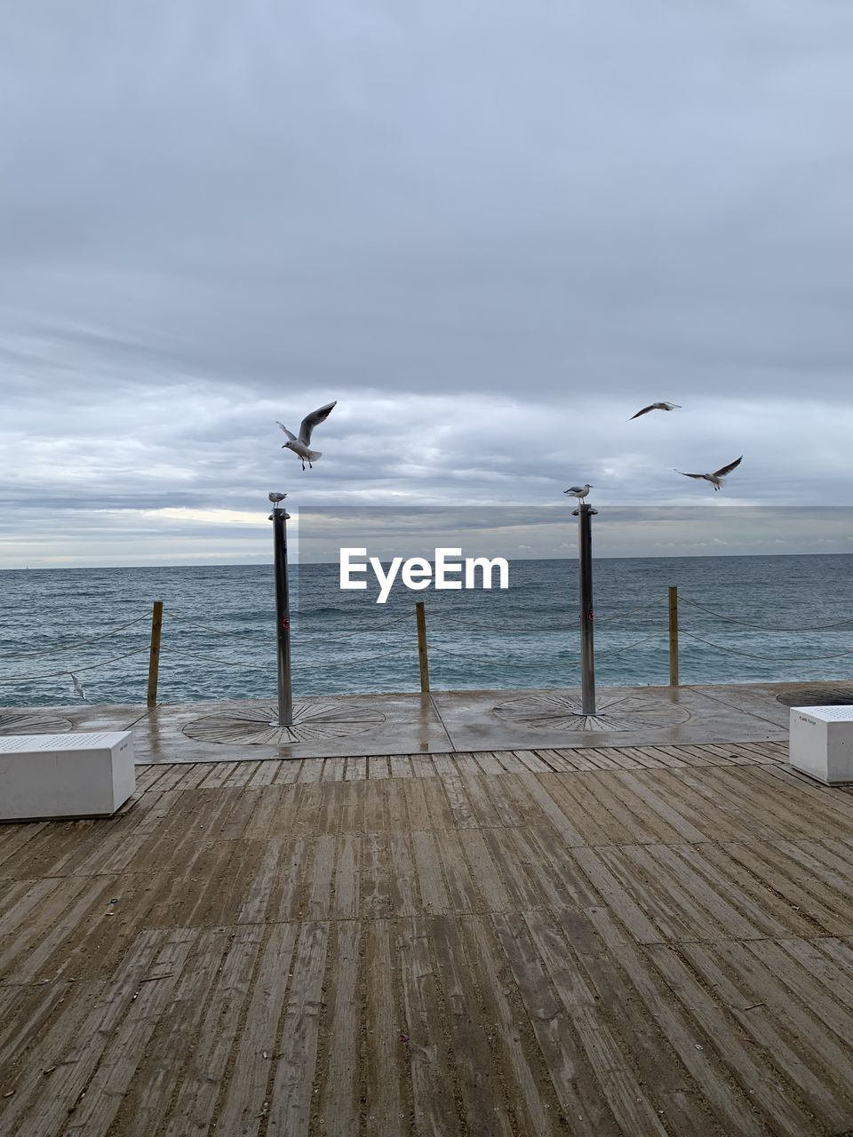 Seagulls flying over sea against sky