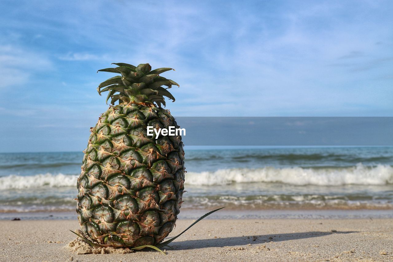 Pineapple by sea against sky