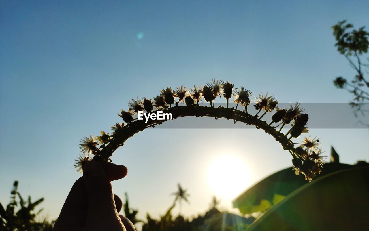 LOW ANGLE VIEW OF PERSON HOLDING PLANT AGAINST SKY