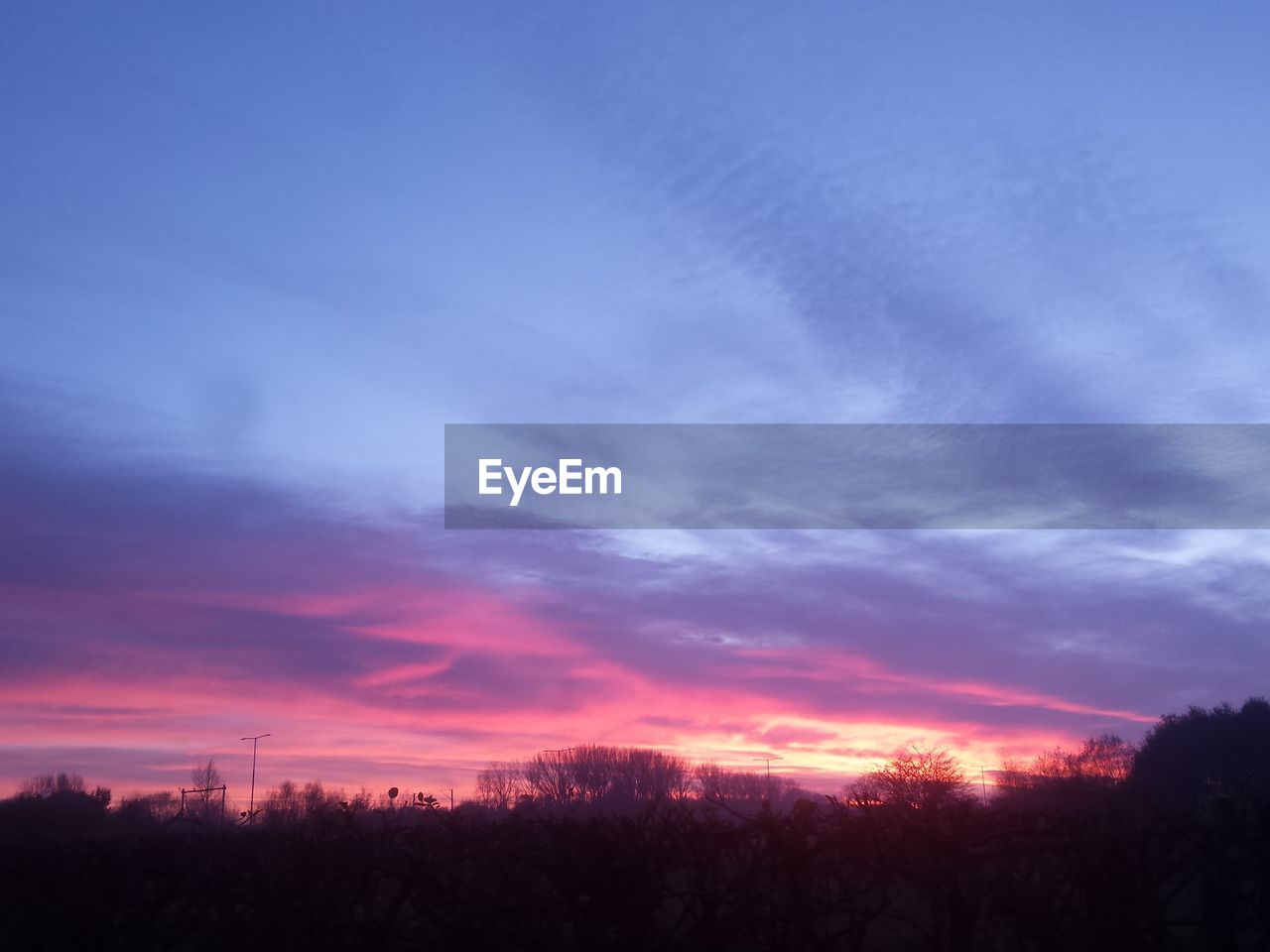 SILHOUETTE TREES ON LANDSCAPE AGAINST SKY