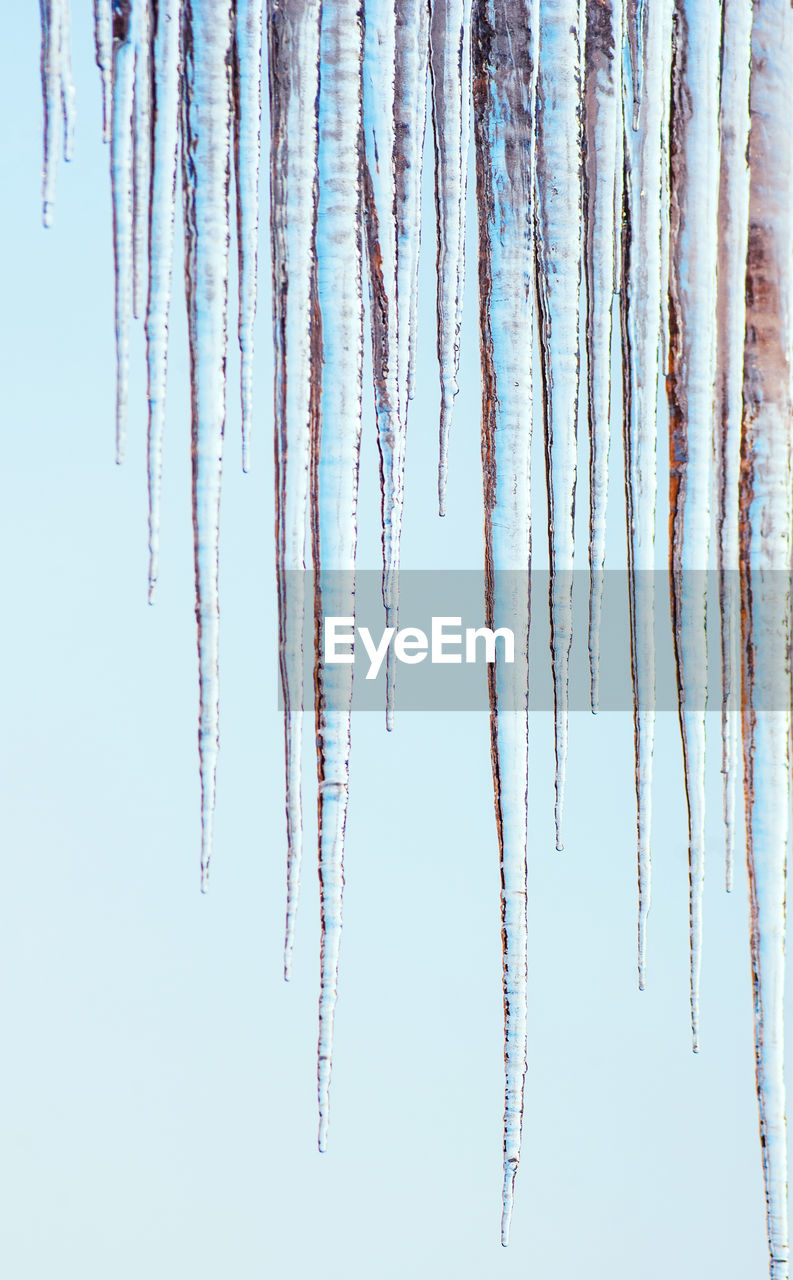 Close-up of icicles hanging outdoors