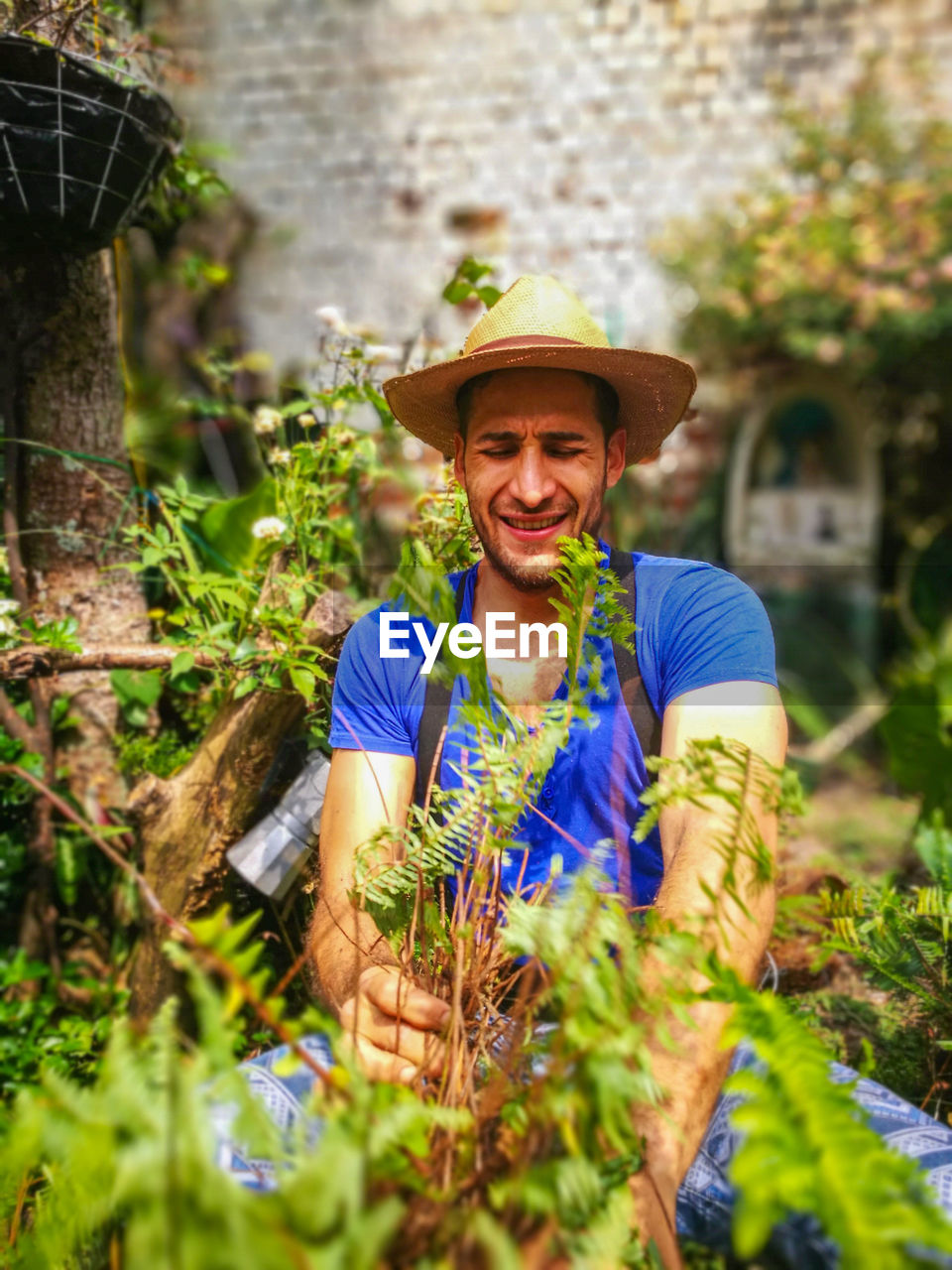 Man picking plants in garden