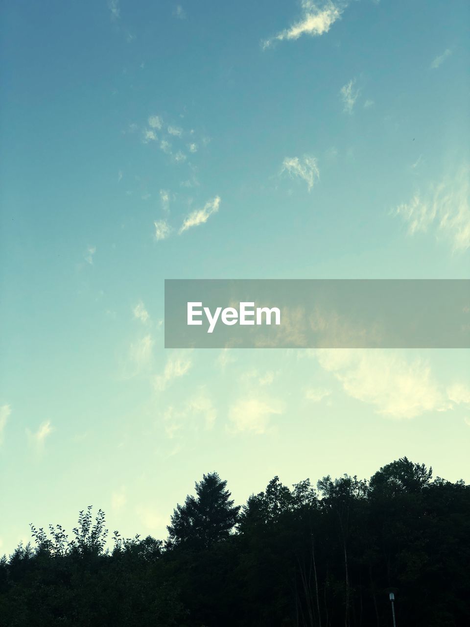 LOW ANGLE VIEW OF SILHOUETTE TREES ON LAND AGAINST SKY
