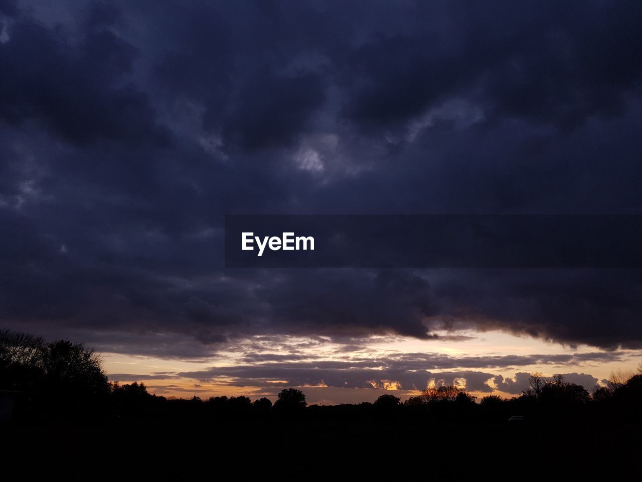 SILHOUETTE OF TREES AT SUNSET