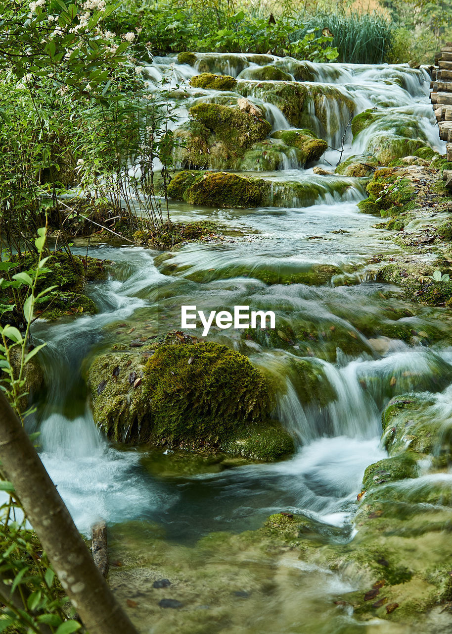 Stream flowing through rocks in forest