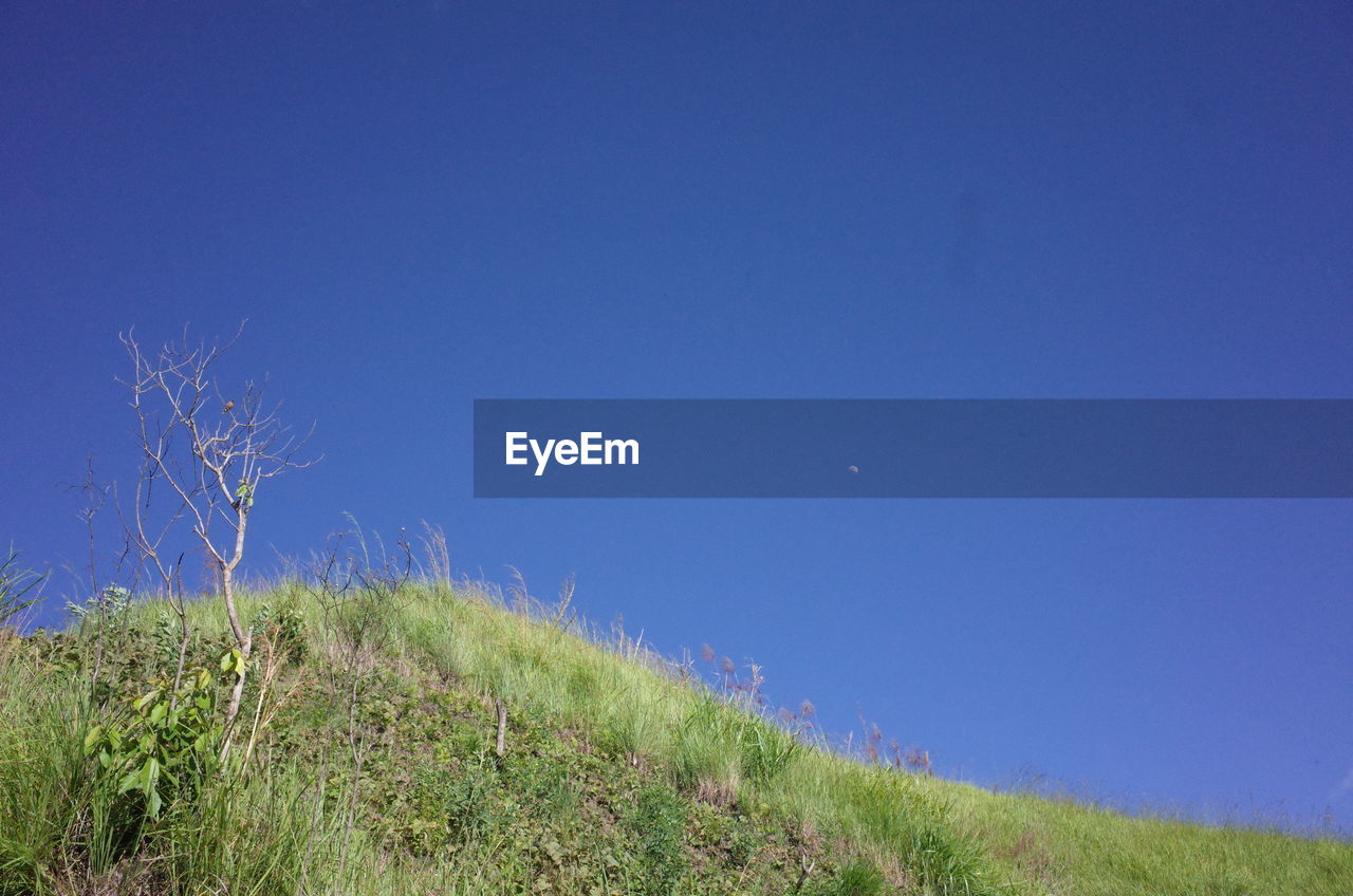 VIEW OF GREEN LANDSCAPE AGAINST BLUE SKY