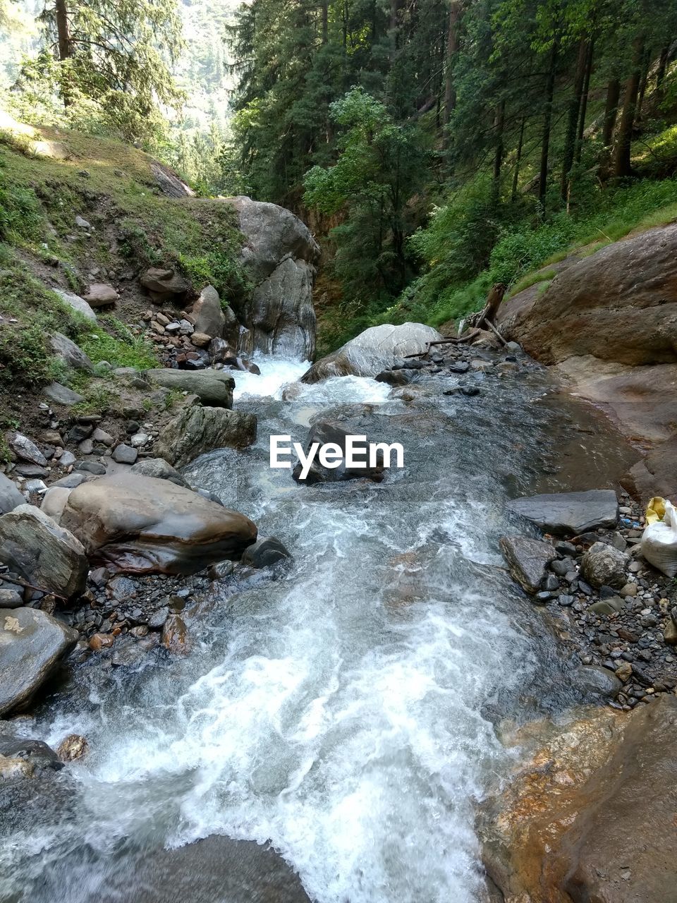 Stream flowing through rocks in forest