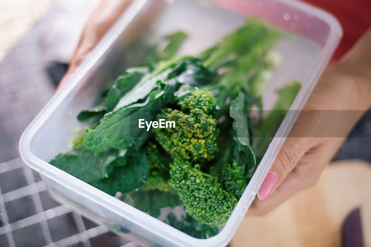 High angle view of woman holding container with vegetables