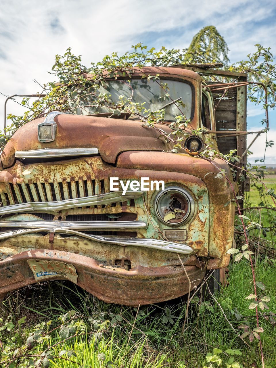 OLD RUSTY CAR ON FIELD