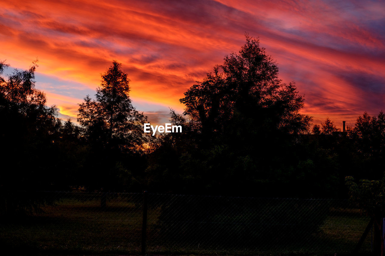 SCENIC VIEW OF SILHOUETTE TREES AGAINST SKY DURING SUNSET