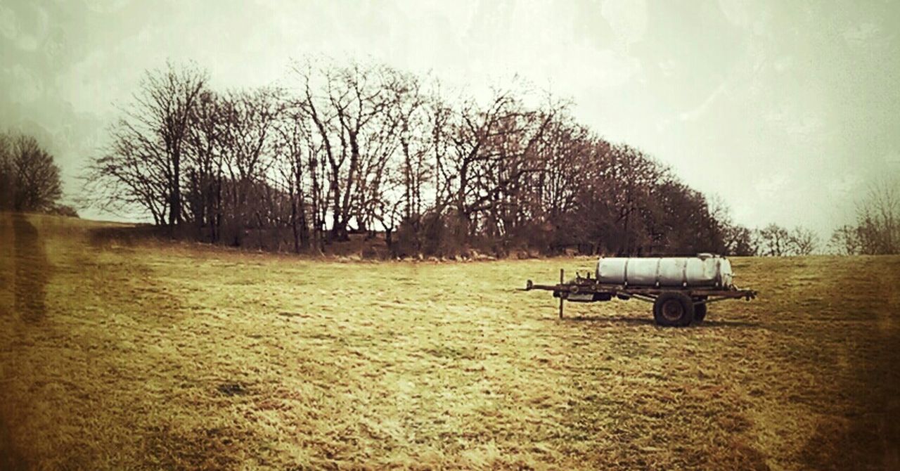 VIEW OF BARE TREES ON FIELD