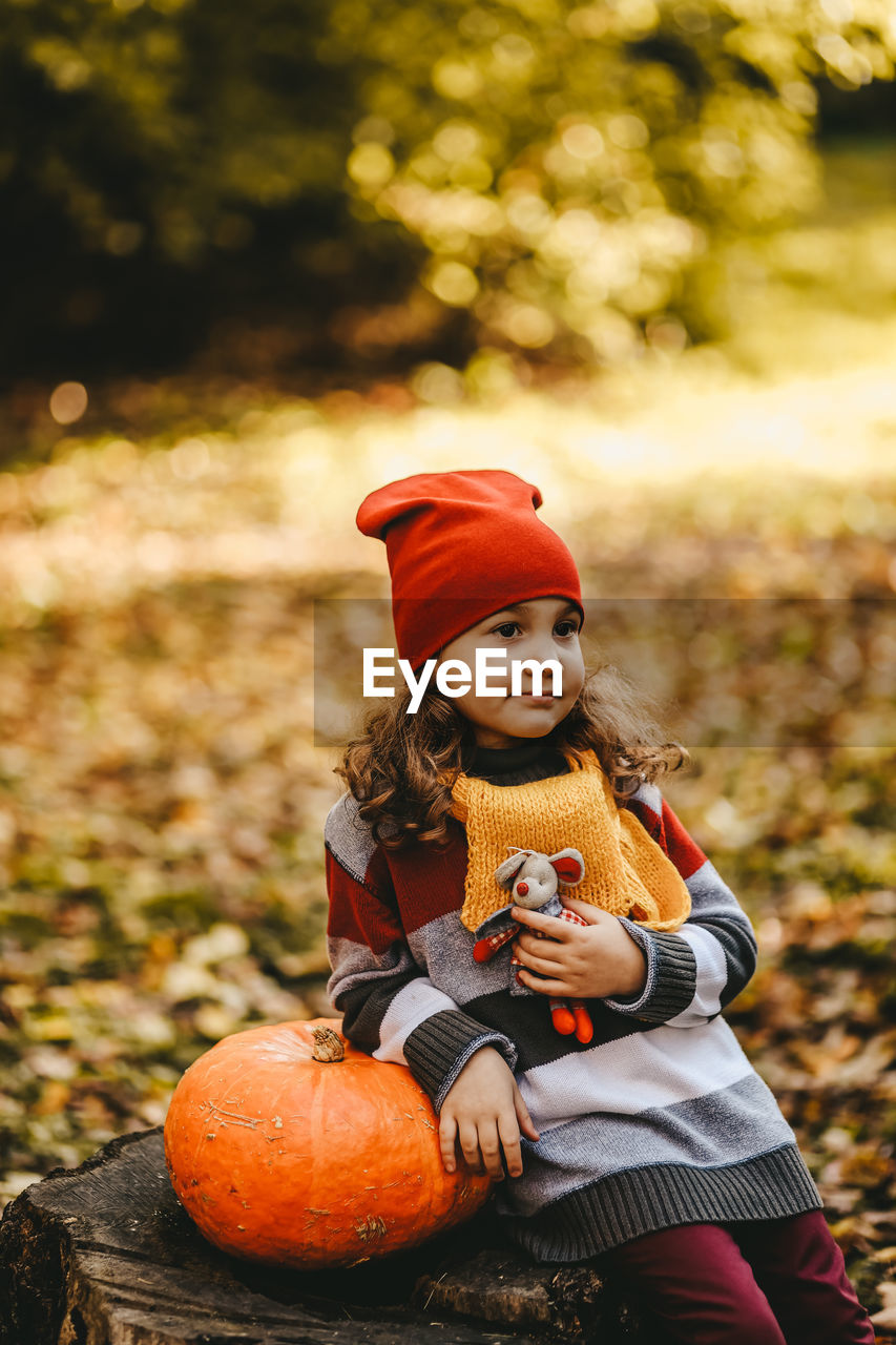 A little girl kid in warm dress and a red hat is sitting with a pumpkin on a stump in an autumn park