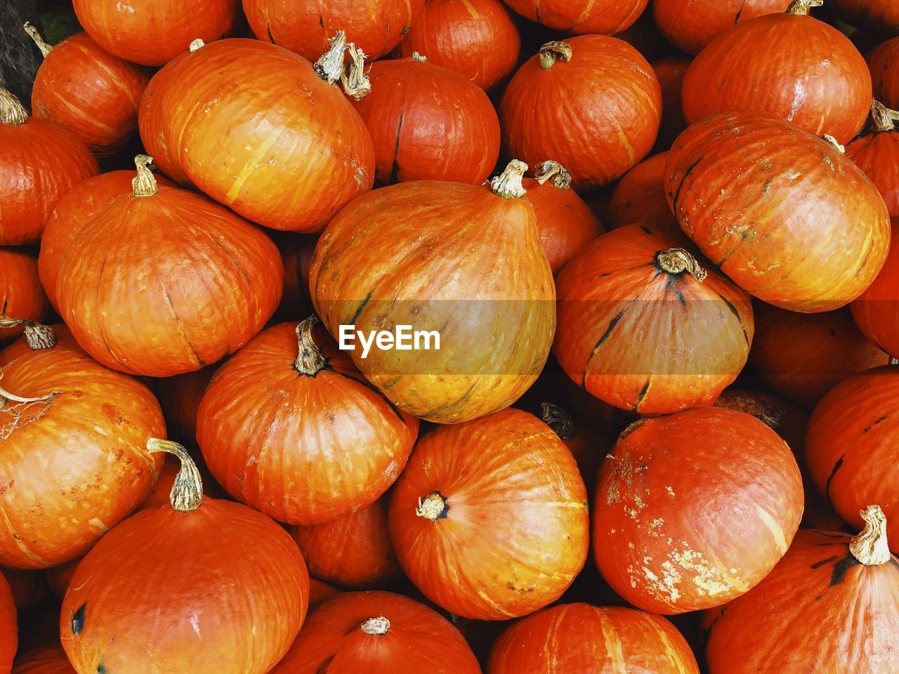 Full frame shot of pumpkins for sale at market