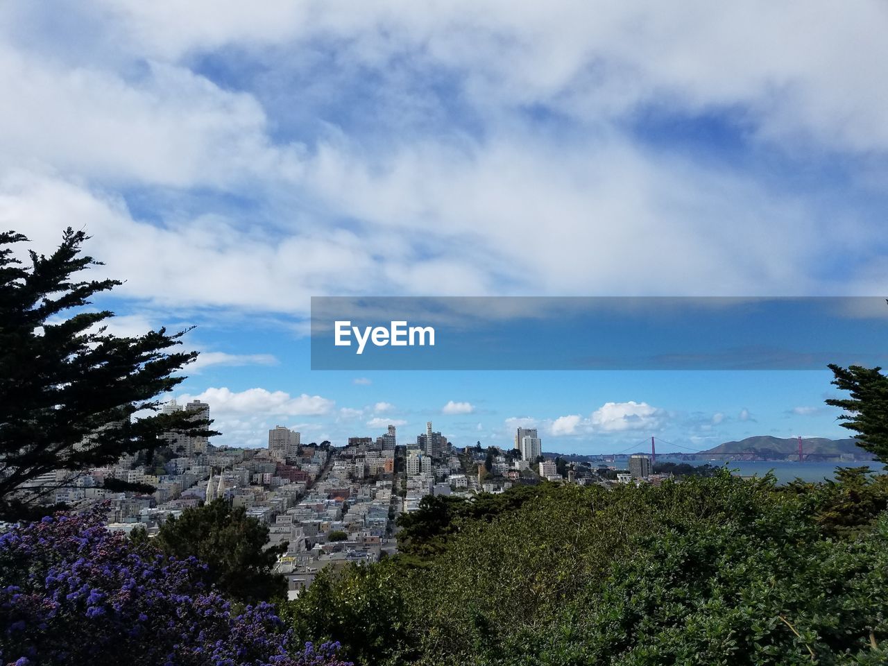Trees and buildings against sky