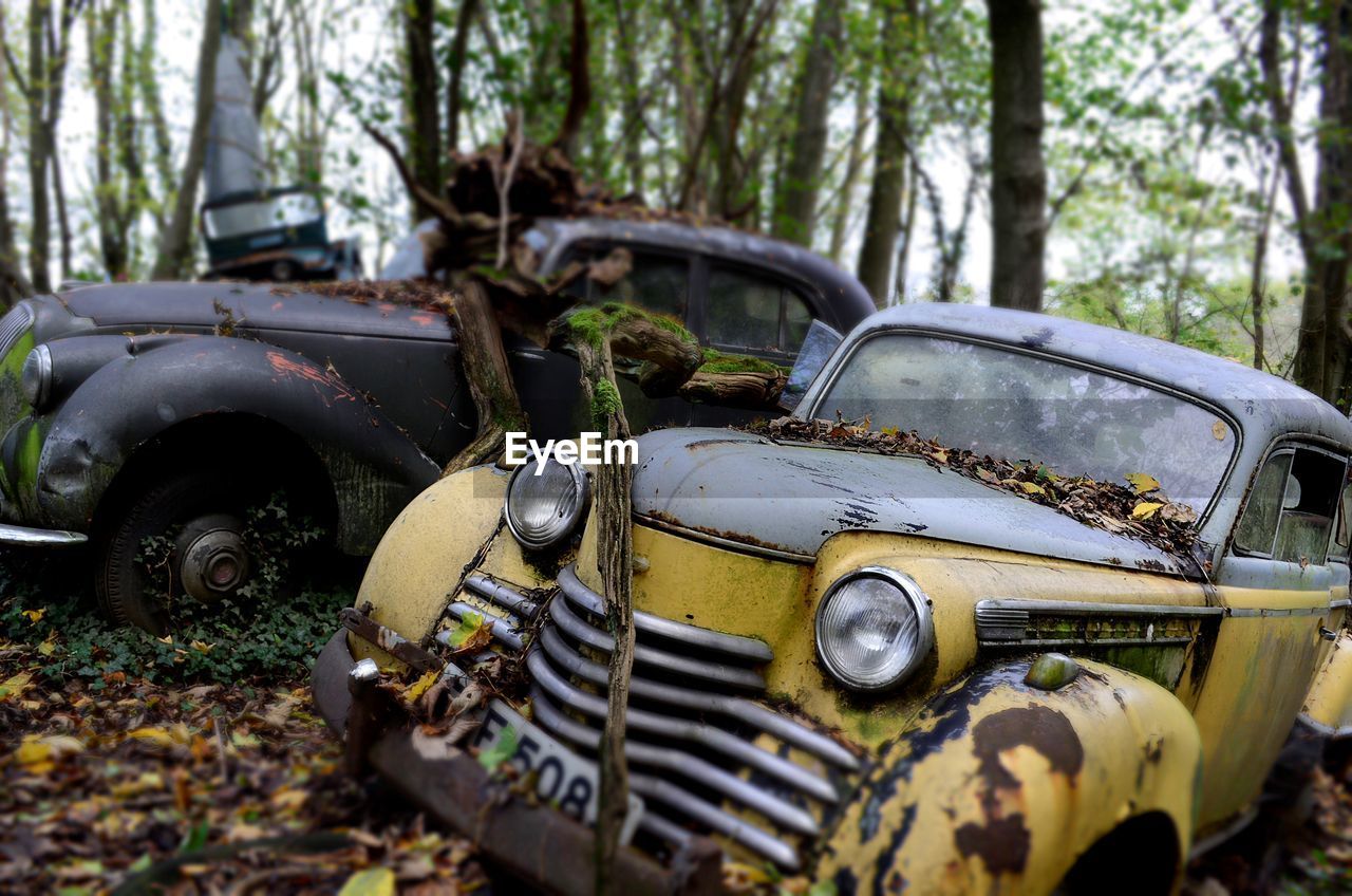 Abandoned car in forest