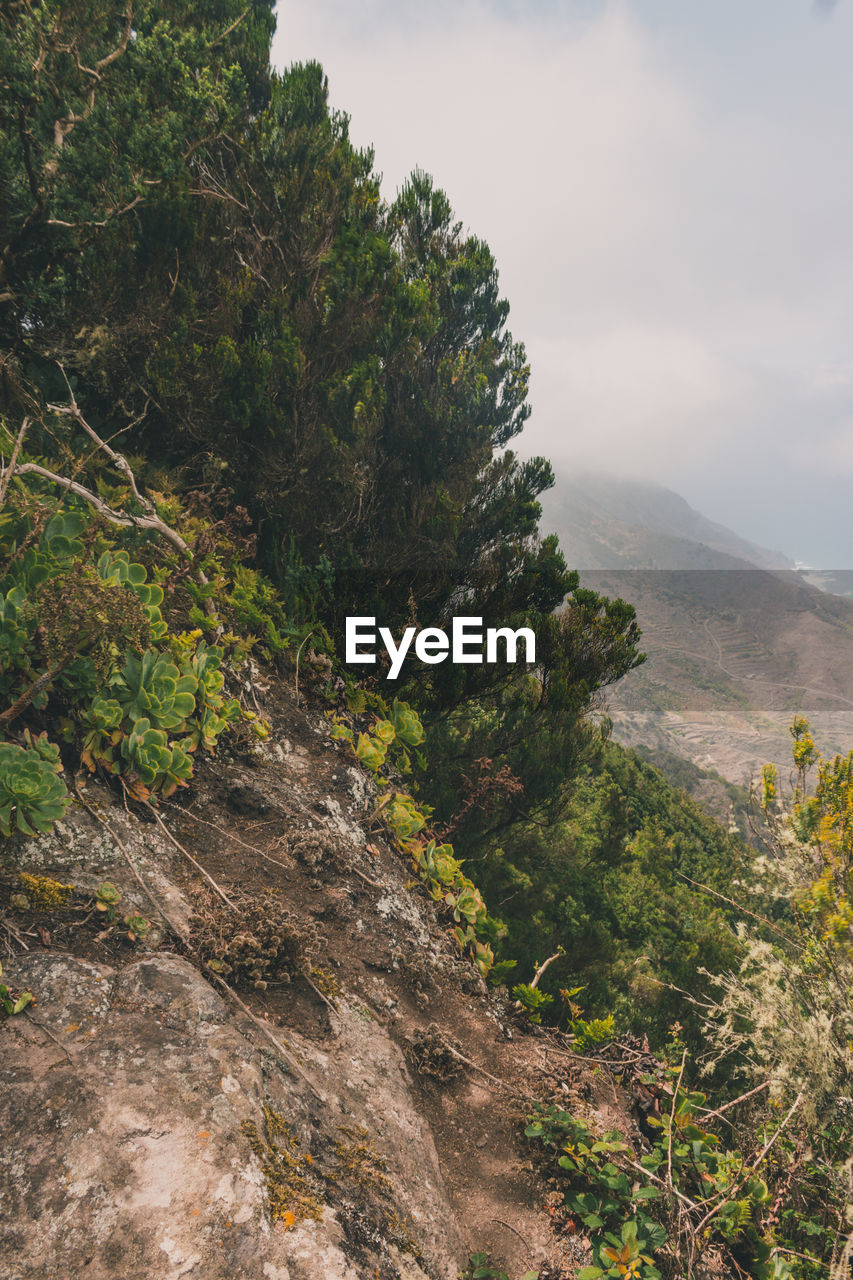 SCENIC VIEW OF MOUNTAIN AGAINST SKY