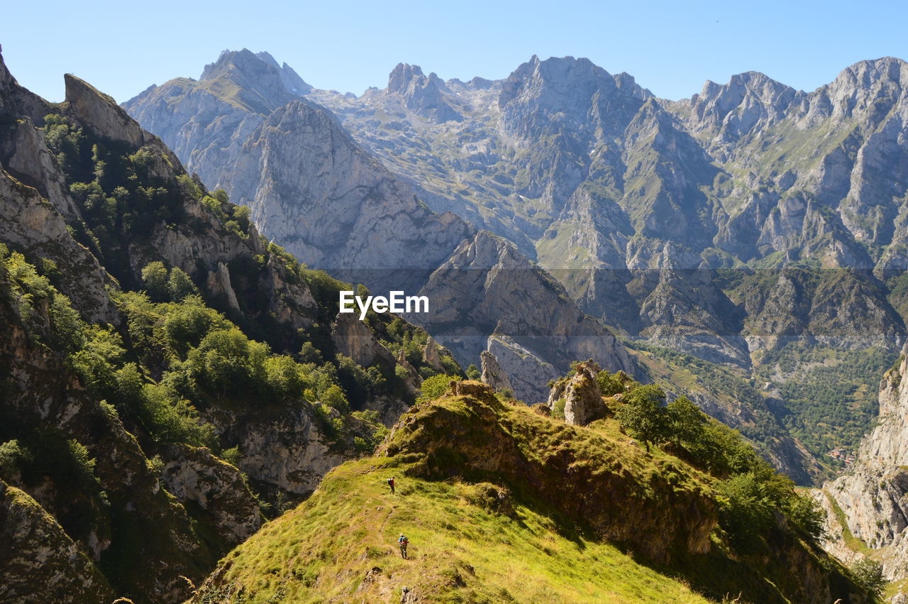 mountain, scenics - nature, mountain range, environment, landscape, beauty in nature, sky, nature, land, wilderness, plant, travel destinations, pine tree, travel, adventure, pinaceae, coniferous tree, walking, mountain peak, tree, clear sky, hiking, activity, pine woodland, rock, valley, ridge, forest, blue, tourism, outdoors, leisure activity, mountain pass, non-urban scene, tranquility, sunny, backpacking, tranquil scene, environmental conservation, summer, panoramic, day, grass, sunlight, snow, social issues, green, plateau, rural scene, cold temperature, vacation, idyllic, cliff, trip