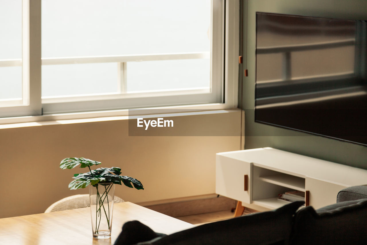 Potted plant on table by window at home