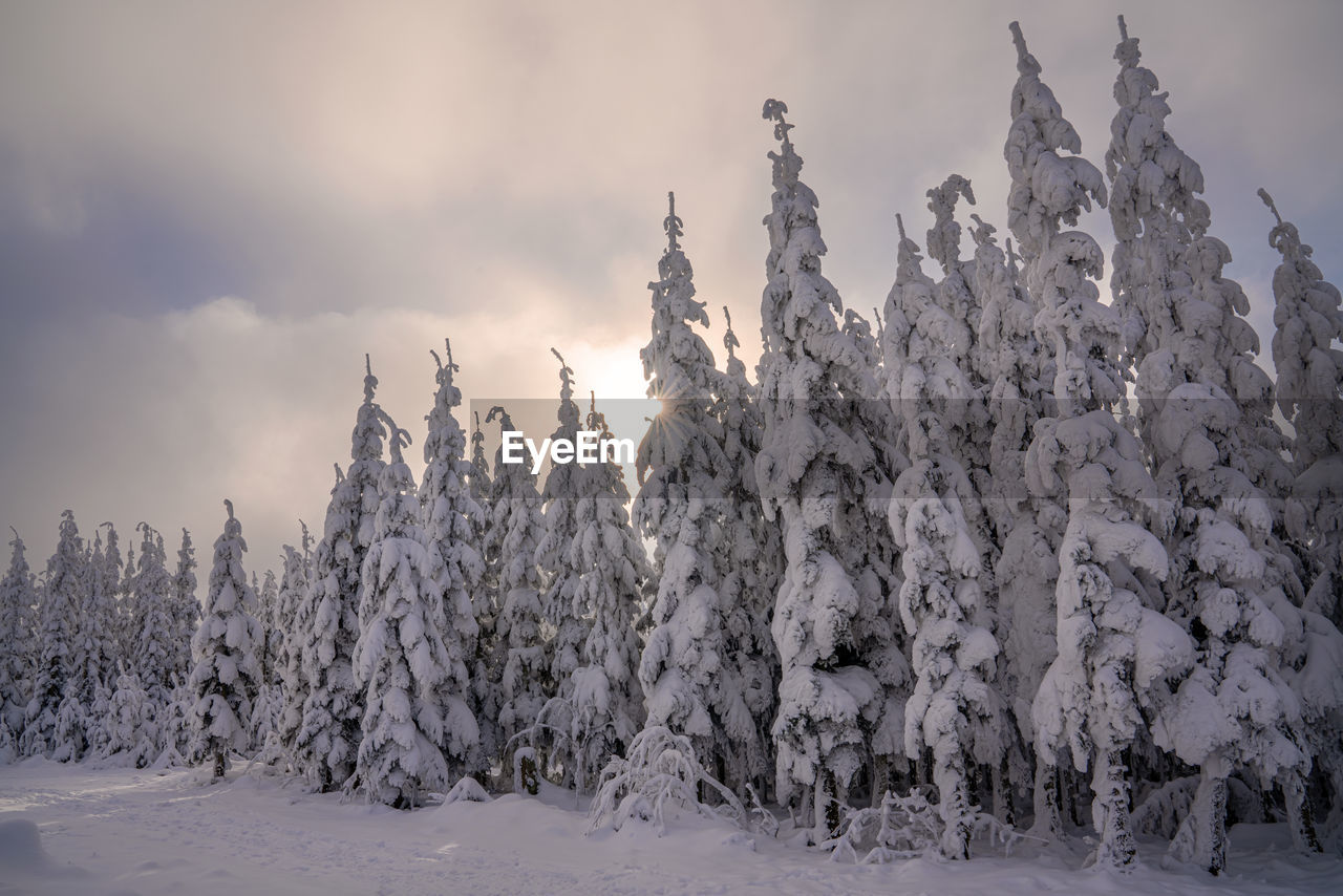 panoramic view of snow covered mountains against sky during winter