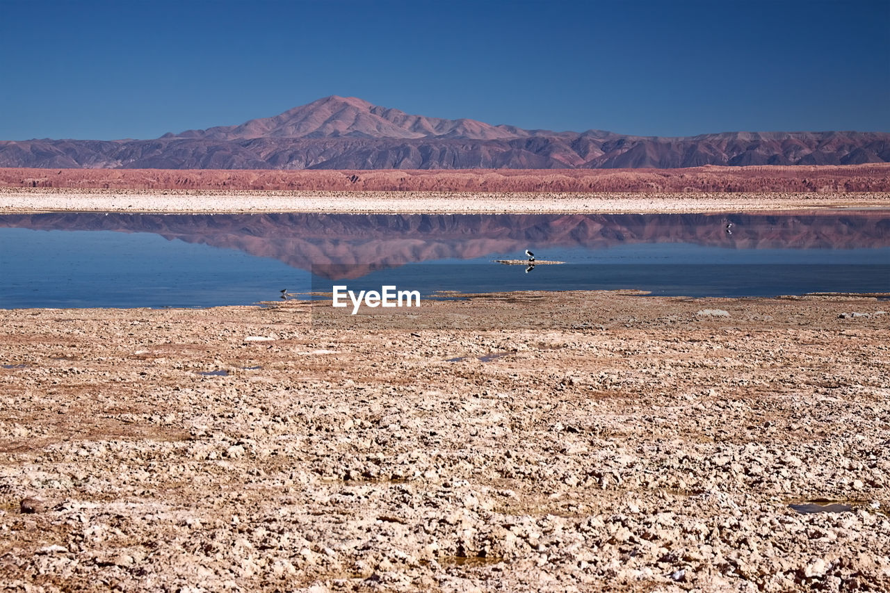 SCENIC VIEW OF DESERT AGAINST SKY