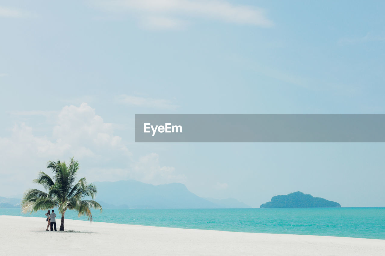 Couple standing by palm tree at beach against sky