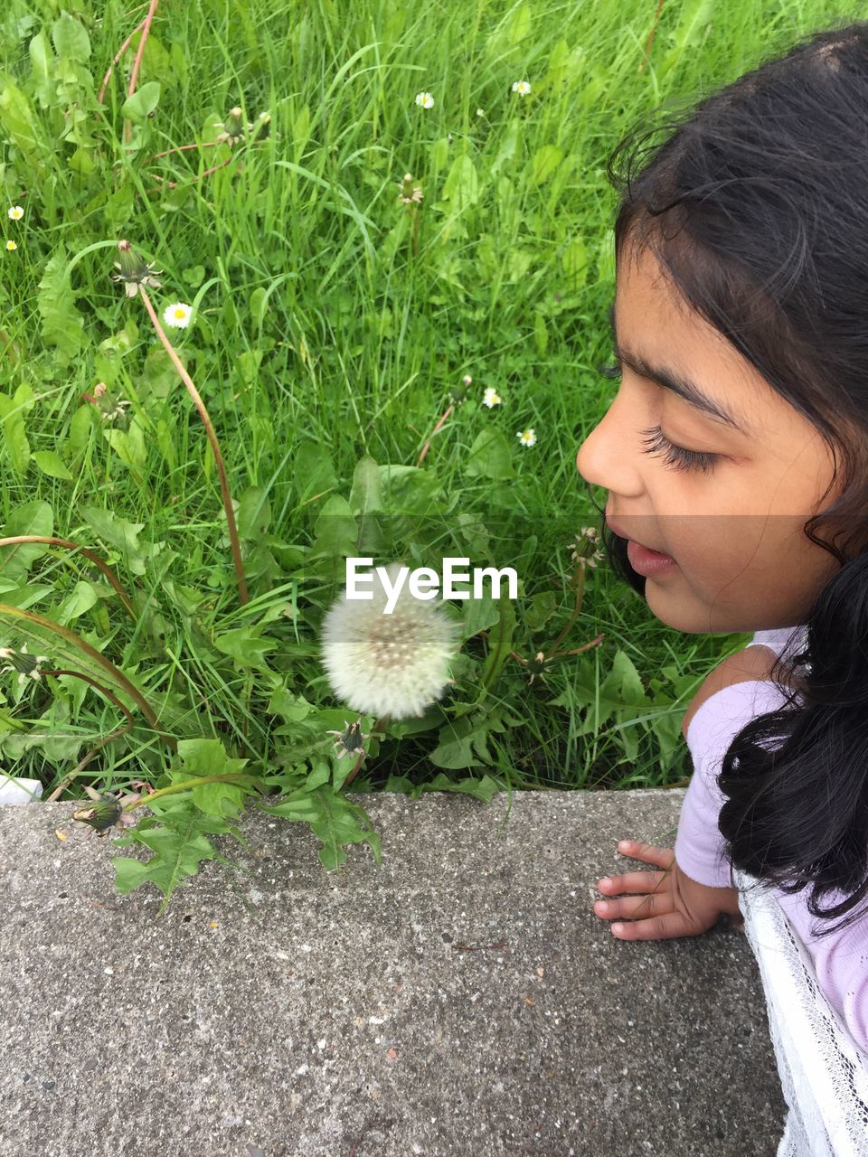 High angle view of girl looking at dandelion plant