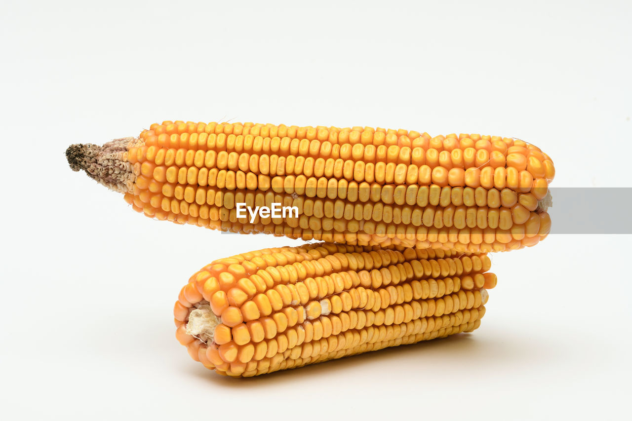 Close-up of yellow corns on white background