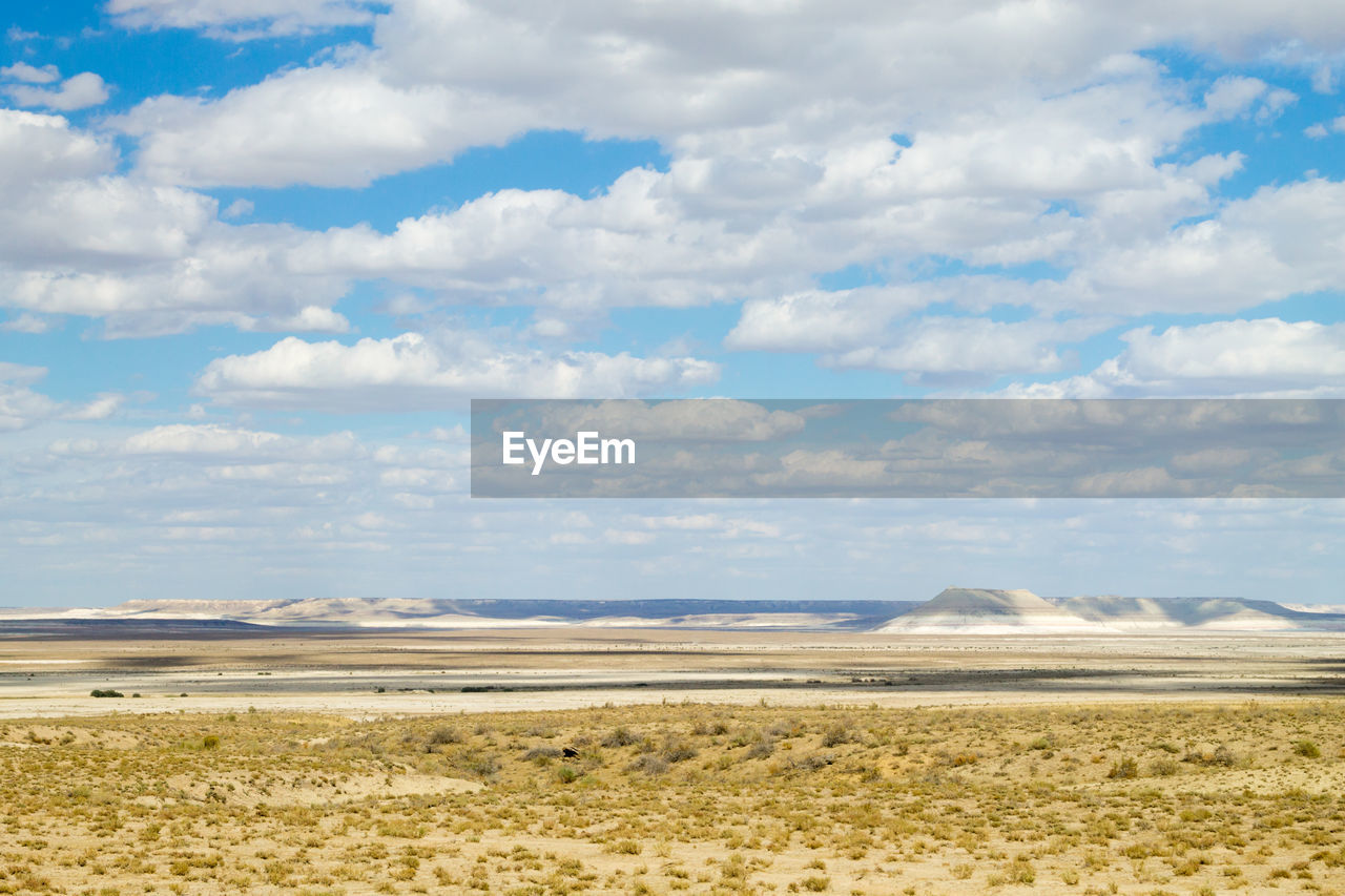 landscape, horizon, environment, sky, cloud, plain, scenics - nature, steppe, land, natural environment, grassland, nature, prairie, beauty in nature, field, tranquil scene, no people, tranquility, day, sea, plateau, blue, travel destinations, travel, non-urban scene, semi-arid, sand, desert, outdoors, animal wildlife, water, mountain, tourism, horizon over land, plant, grass, remote, climate