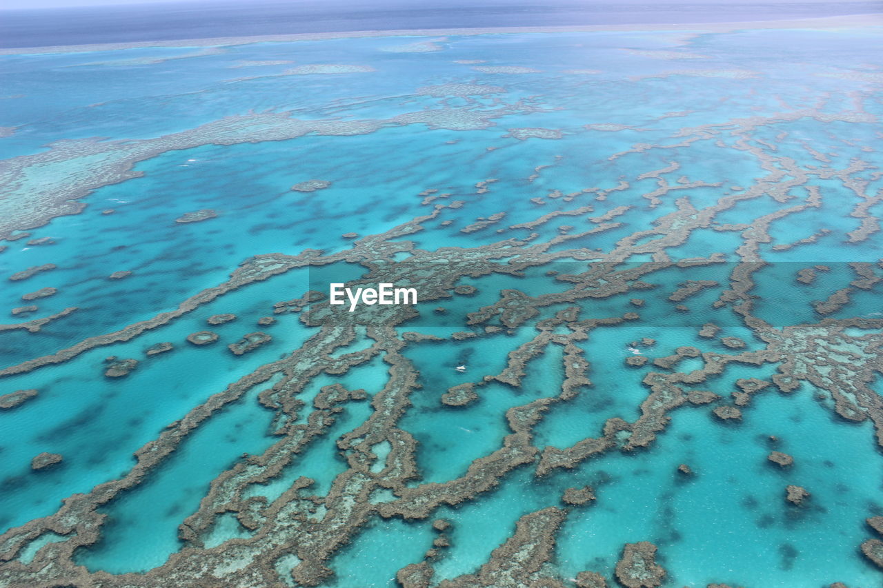 Great barrier life in australia