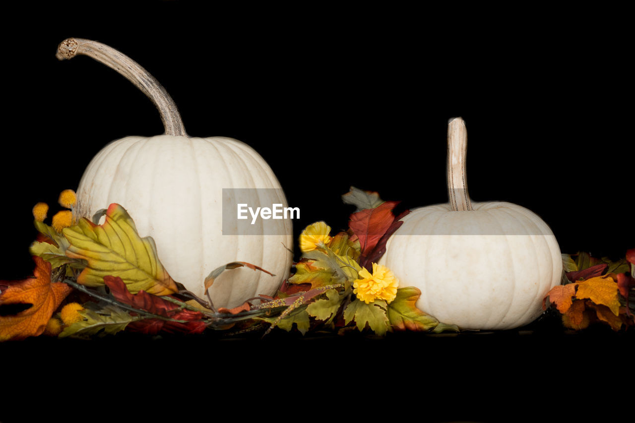 Close-up of pumpkins and dry leaves against black background