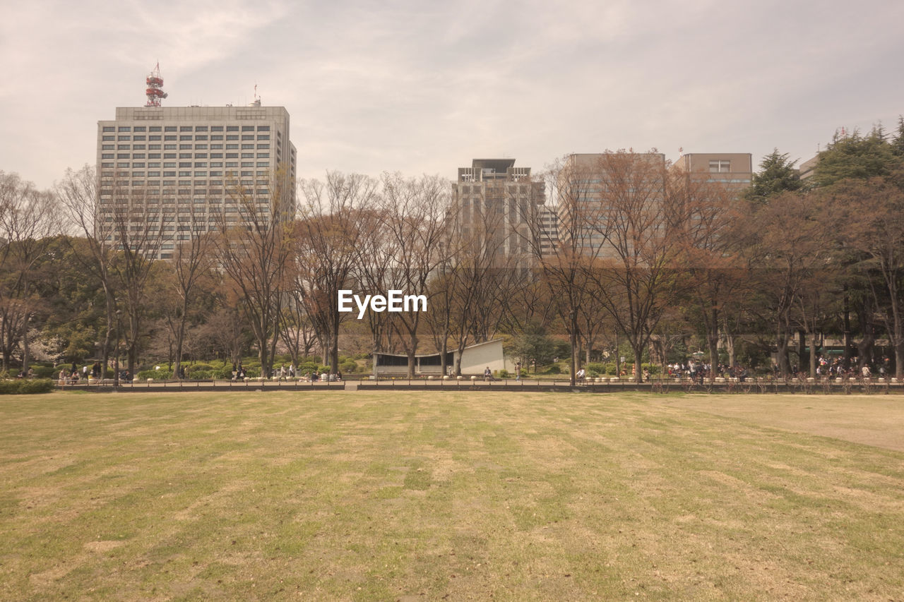 Autumn trees at park by buildings in city