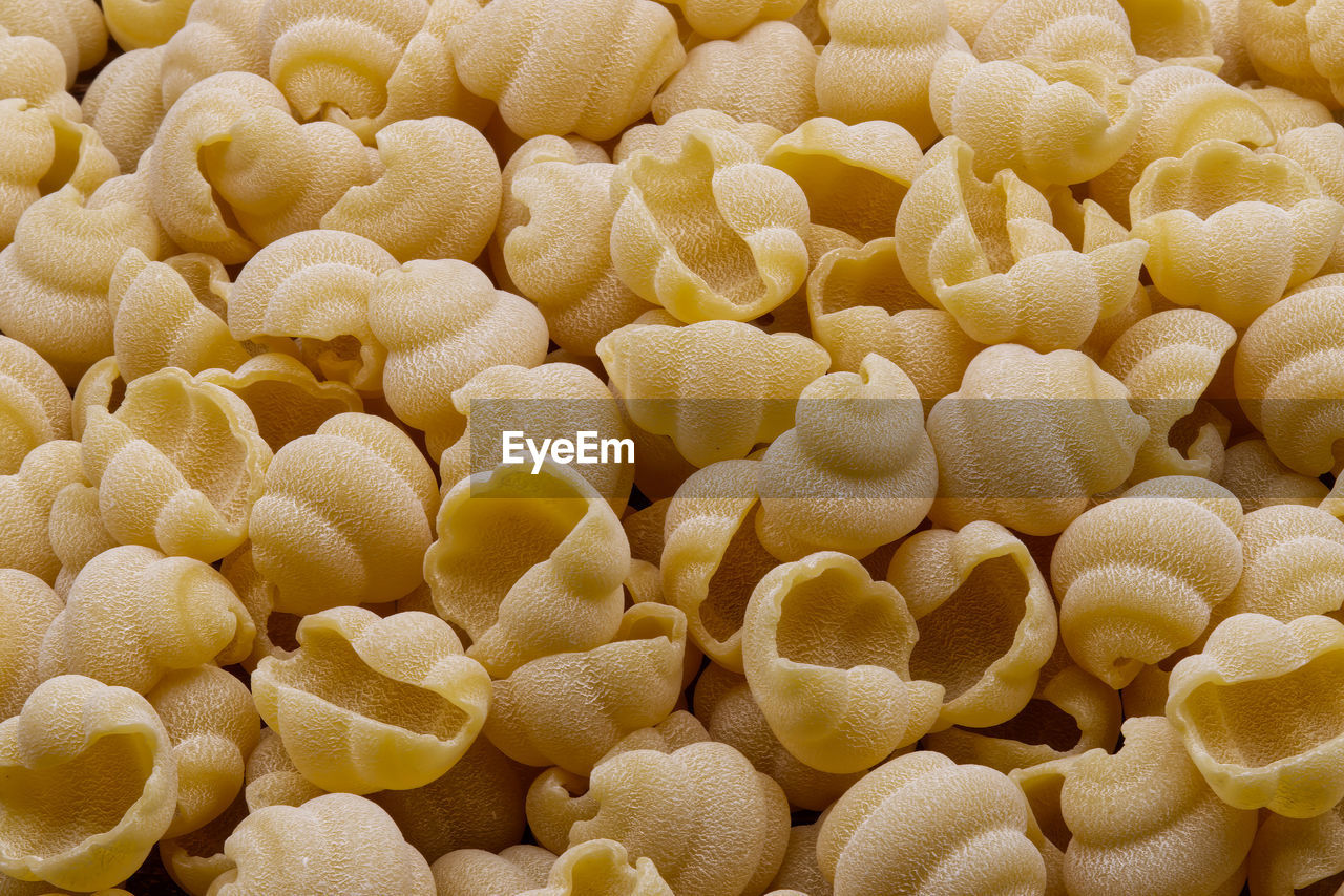 Raw italian gnocchi napoletani pasta as background.