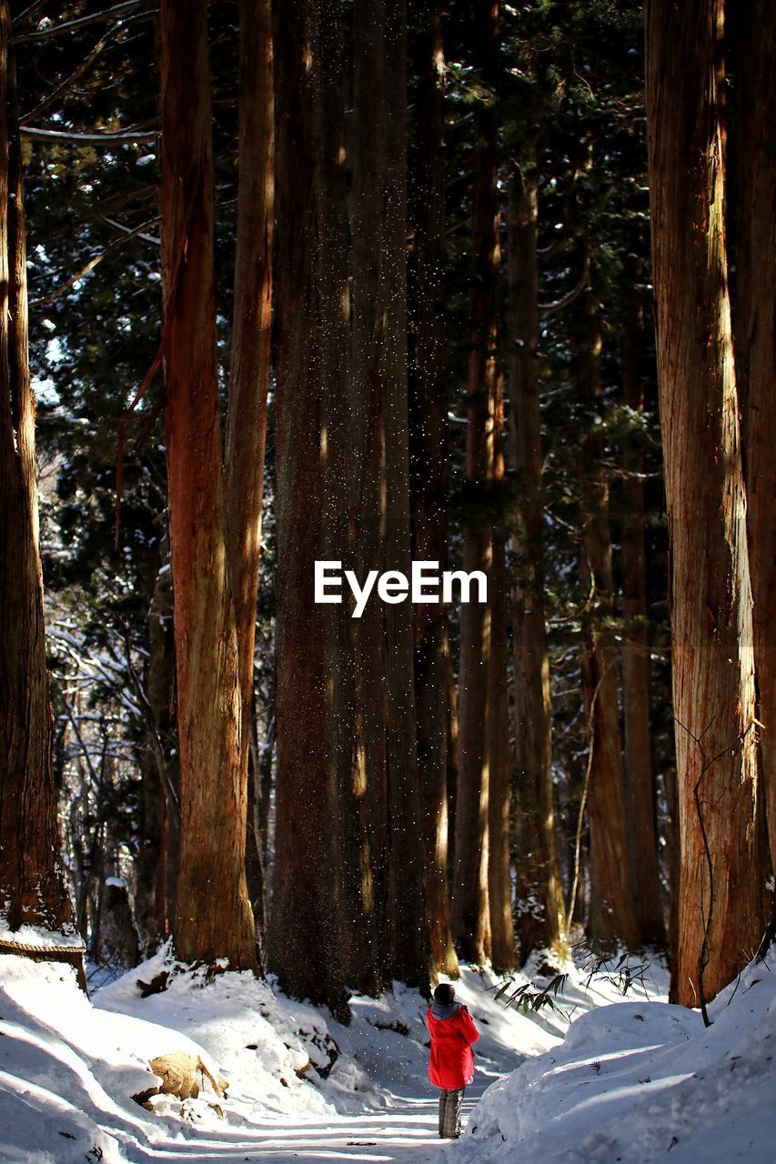 View of snow covered landscape