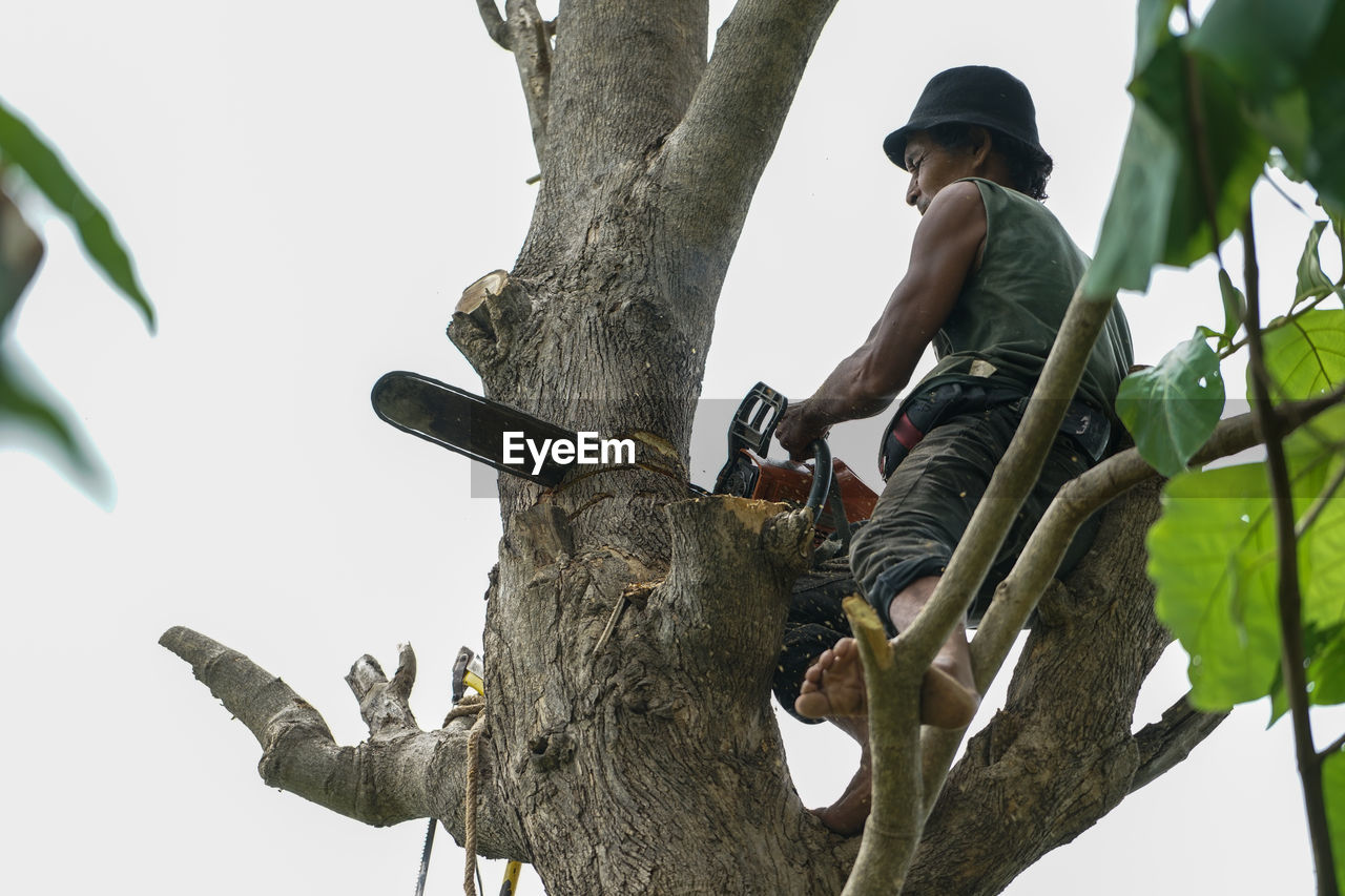 LOW ANGLE VIEW OF MEN ON TREE AGAINST SKY