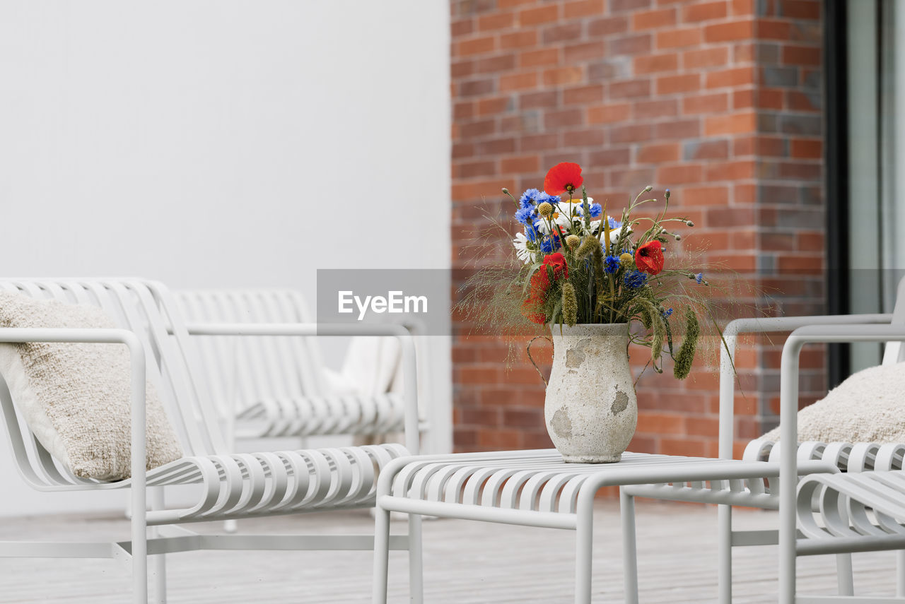 potted plant on table